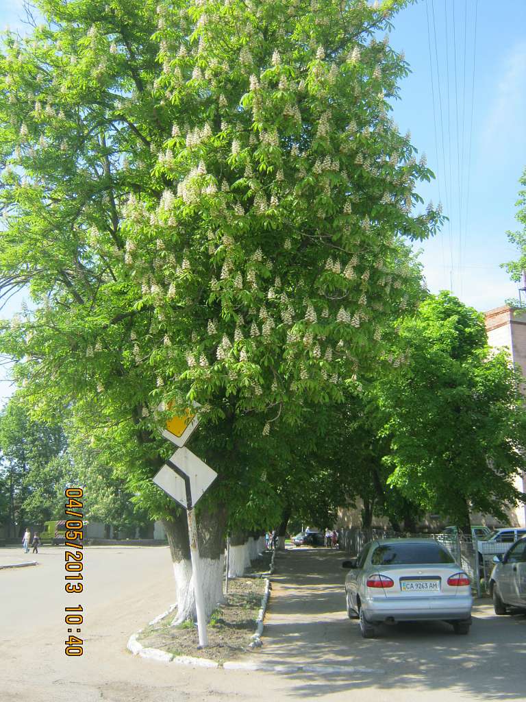 Шпола-географічний центр України - Шпола