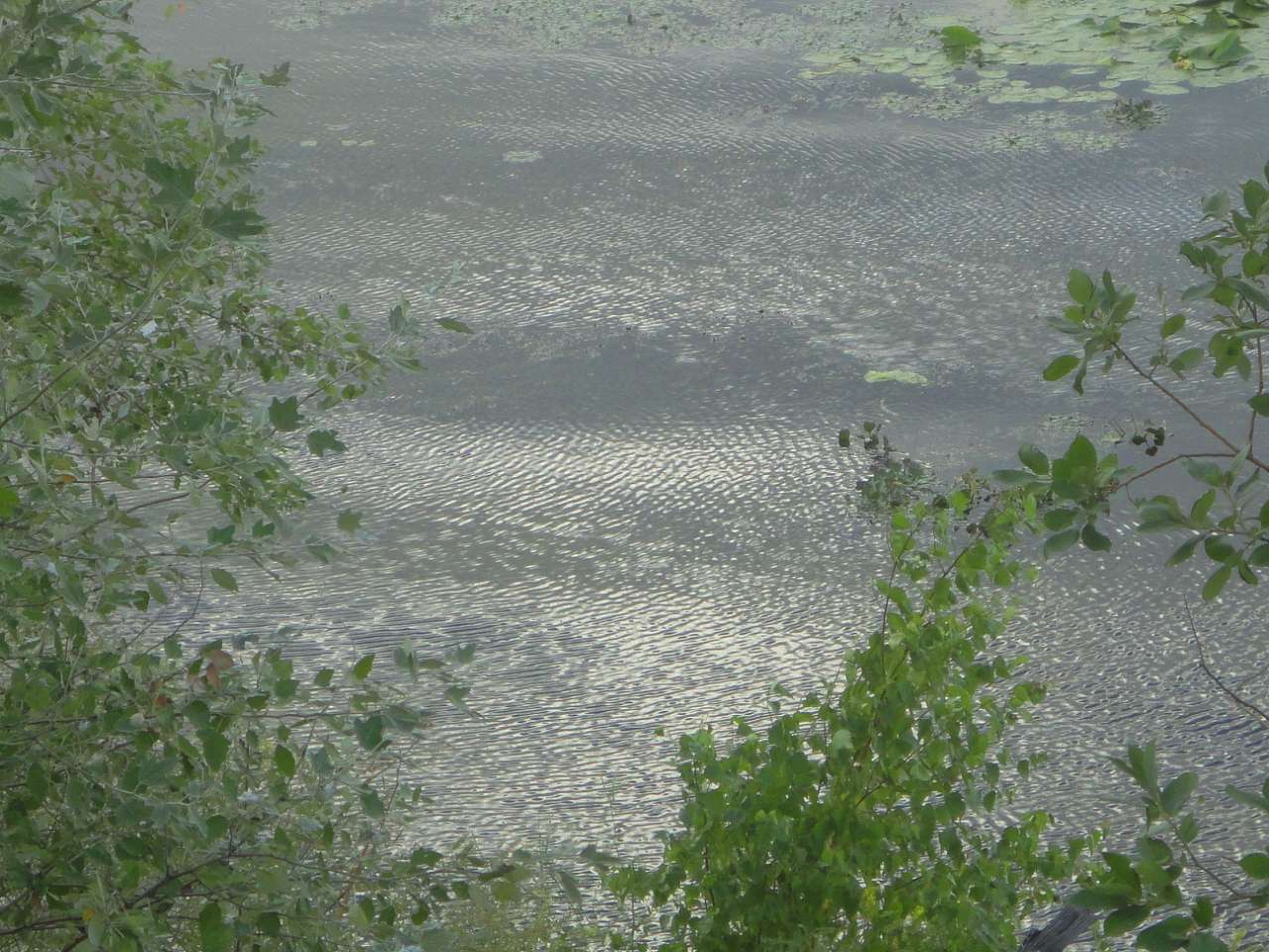 Барви Дніпра - Витачів