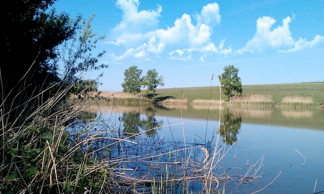 Стрілеча - Стрелечья