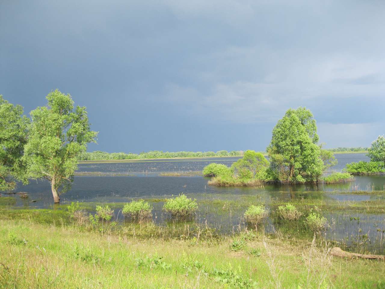 Дібрівське луг(розлив) - Дібрівка