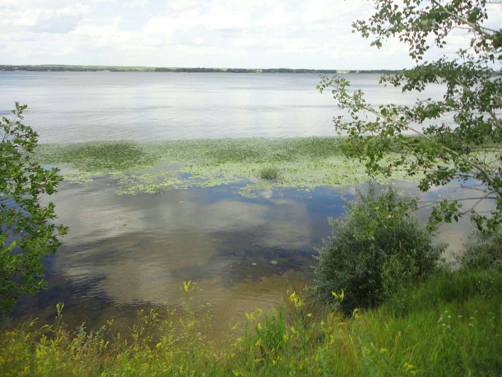 Барви Дніпра - Витачев