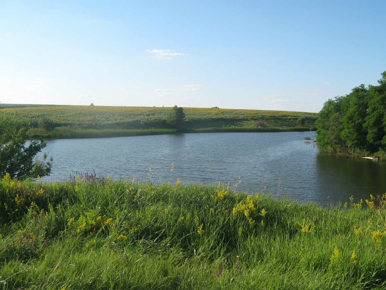 Дащенки - Дащенки