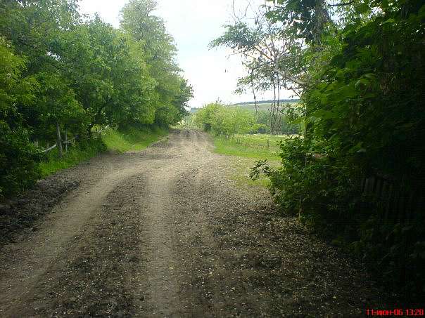 Лісниче - Лісниче