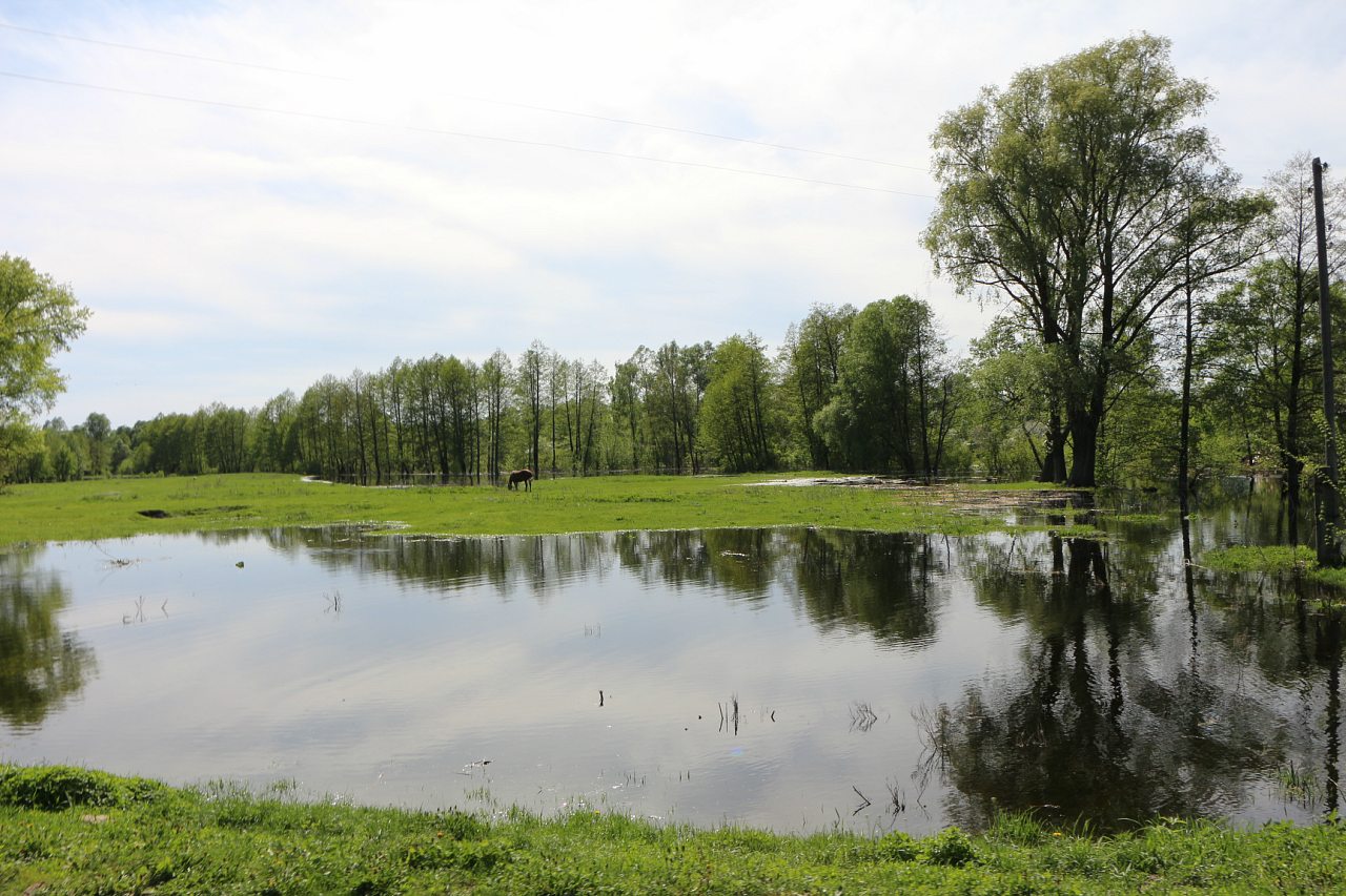 Разное - Загребелля