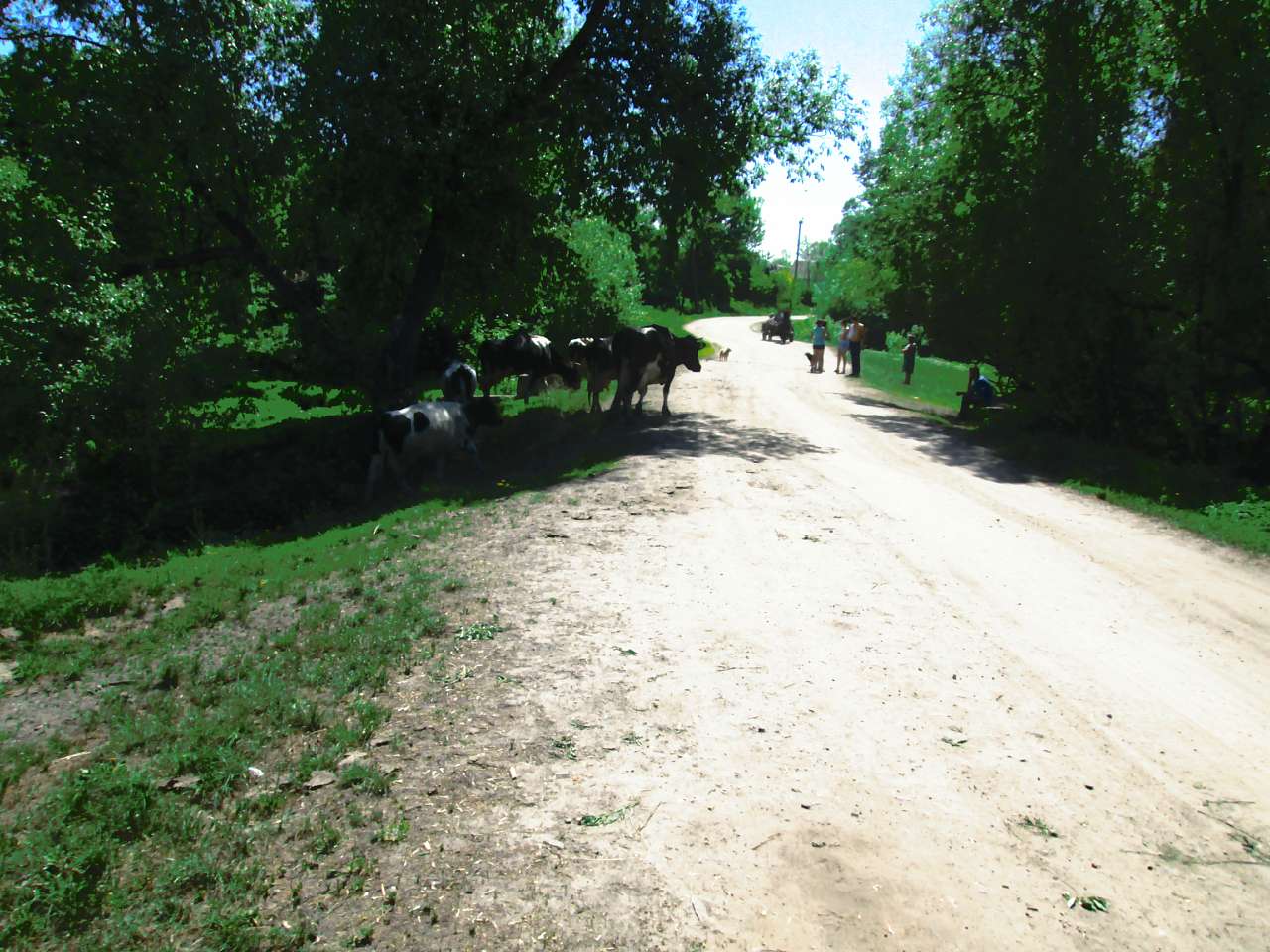 мостове - Мостове