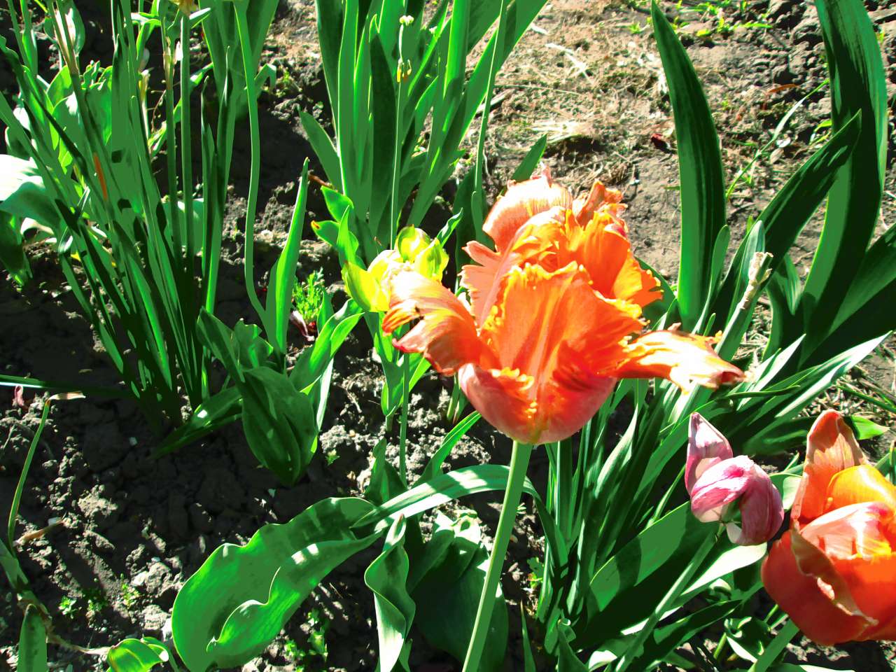 мостове - Мостове