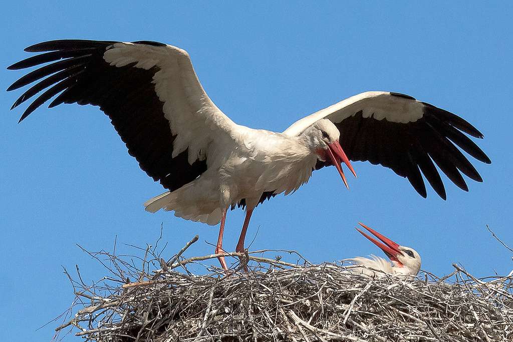Природа края - Верхняя Мануйловка