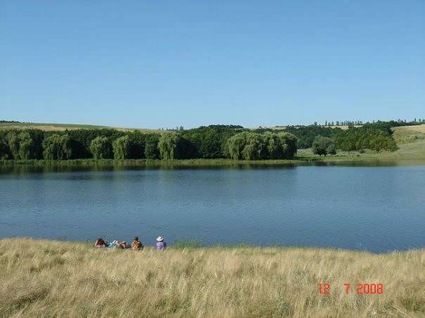 Лісниче - Лісниче