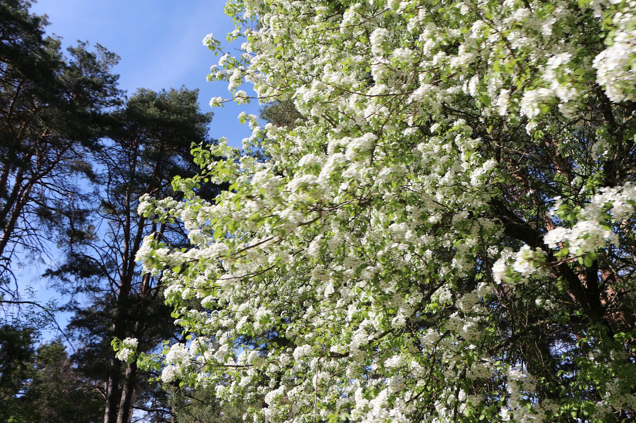 Разное - Загребелье