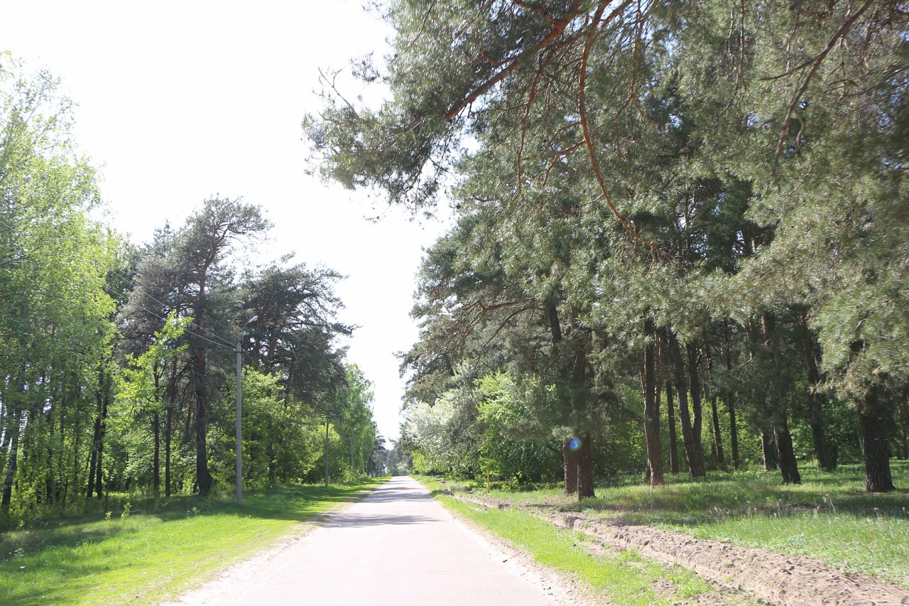 Разное - Загребелля