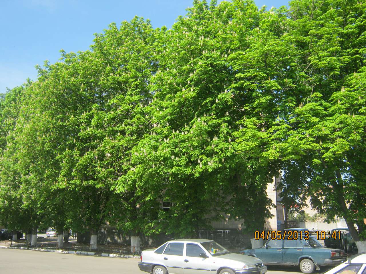 Шпола-географічний центр України - Шпола