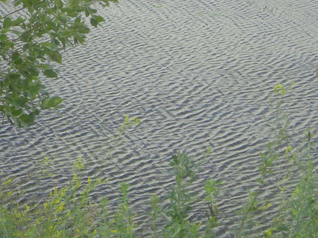 Барви Дніпра - Витачів