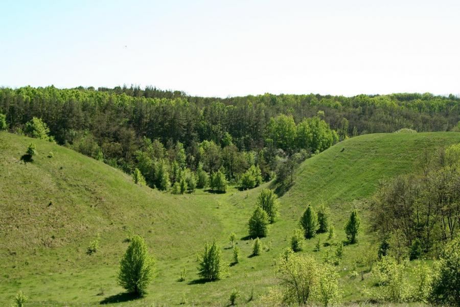 ПОКИНУТІ БУДІВЛІ ТА ПРИРОДА - Грищинцы