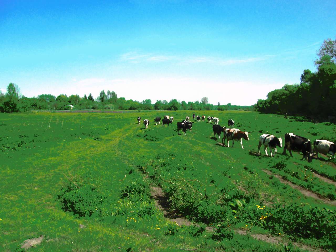 мостове - Мостове