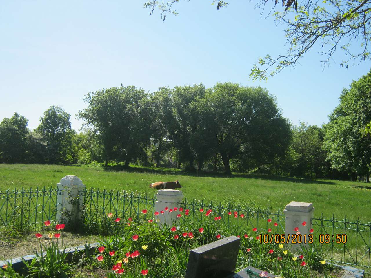 Поіздка вТовмач і х.Братський - Товмач