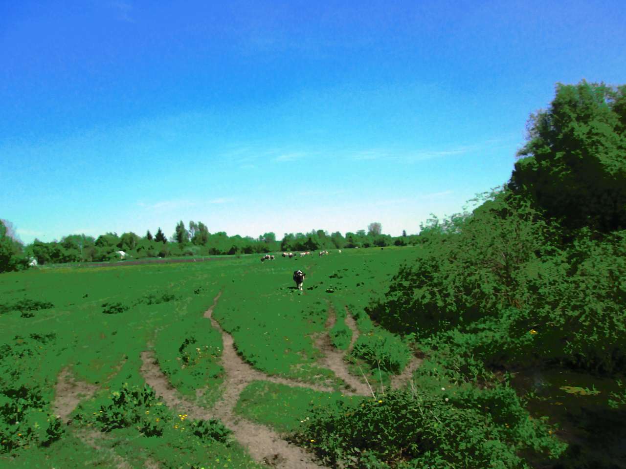 мостове - Мостове