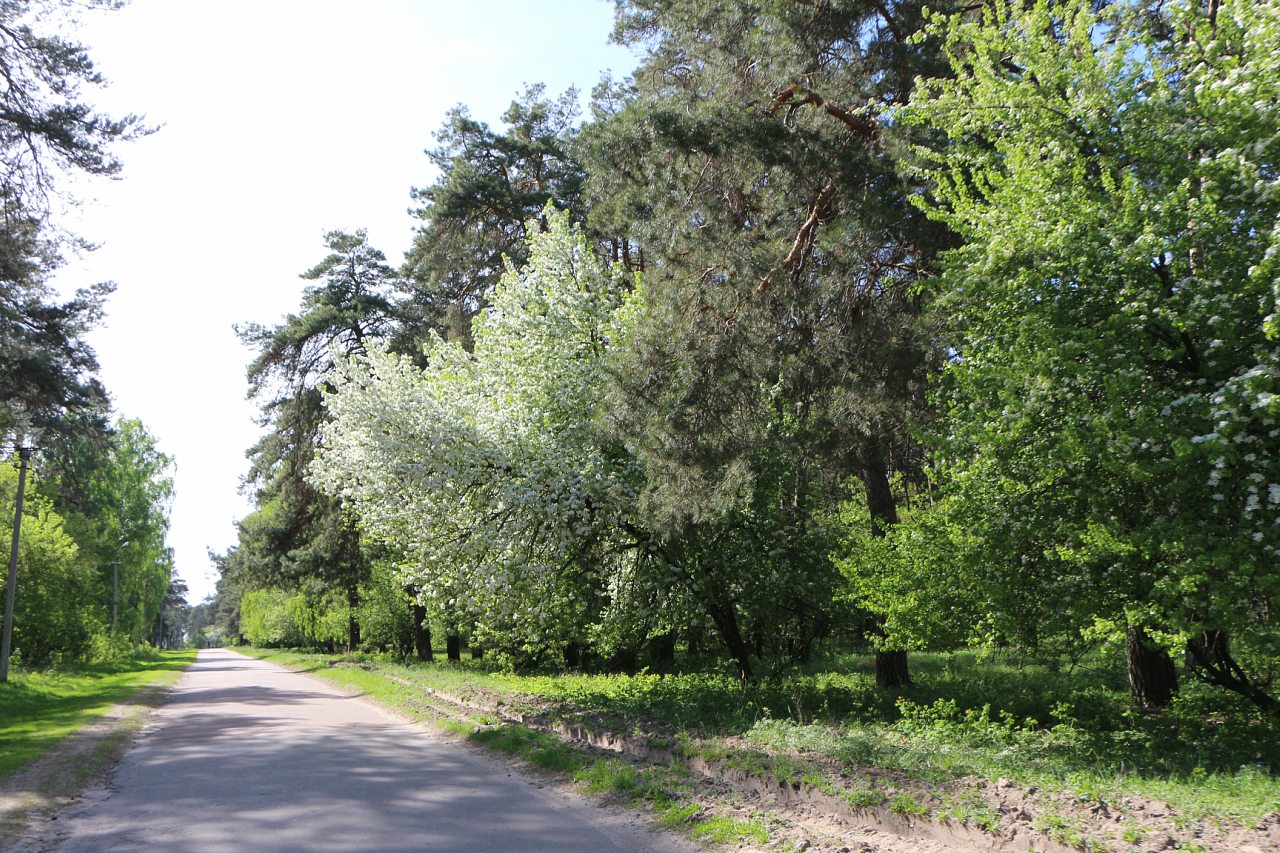 Разное - Загребелля