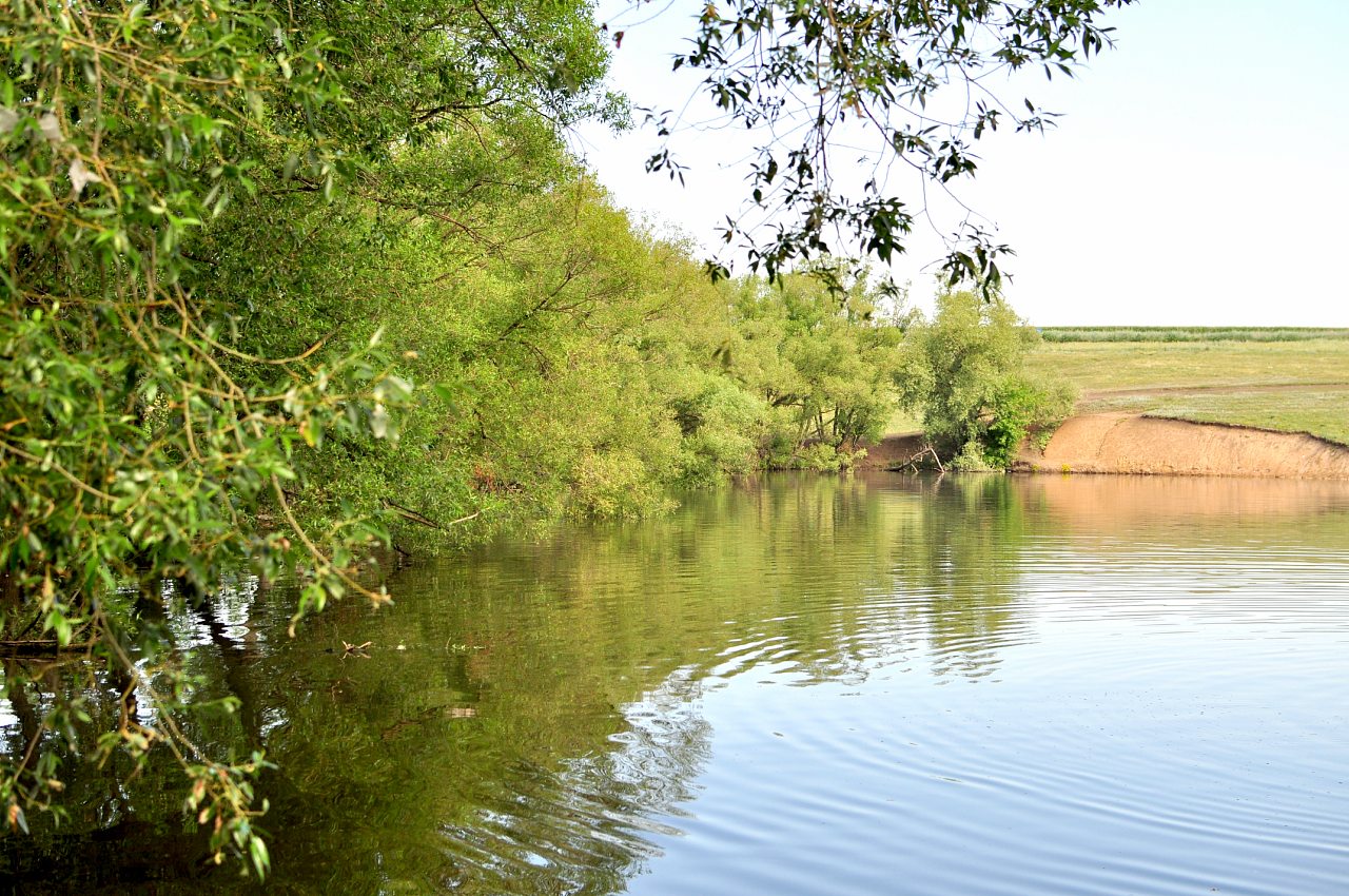 Стрілеча - Стрелечья