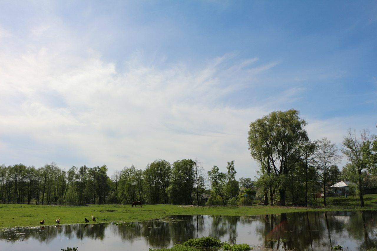 Разное - Загребелля