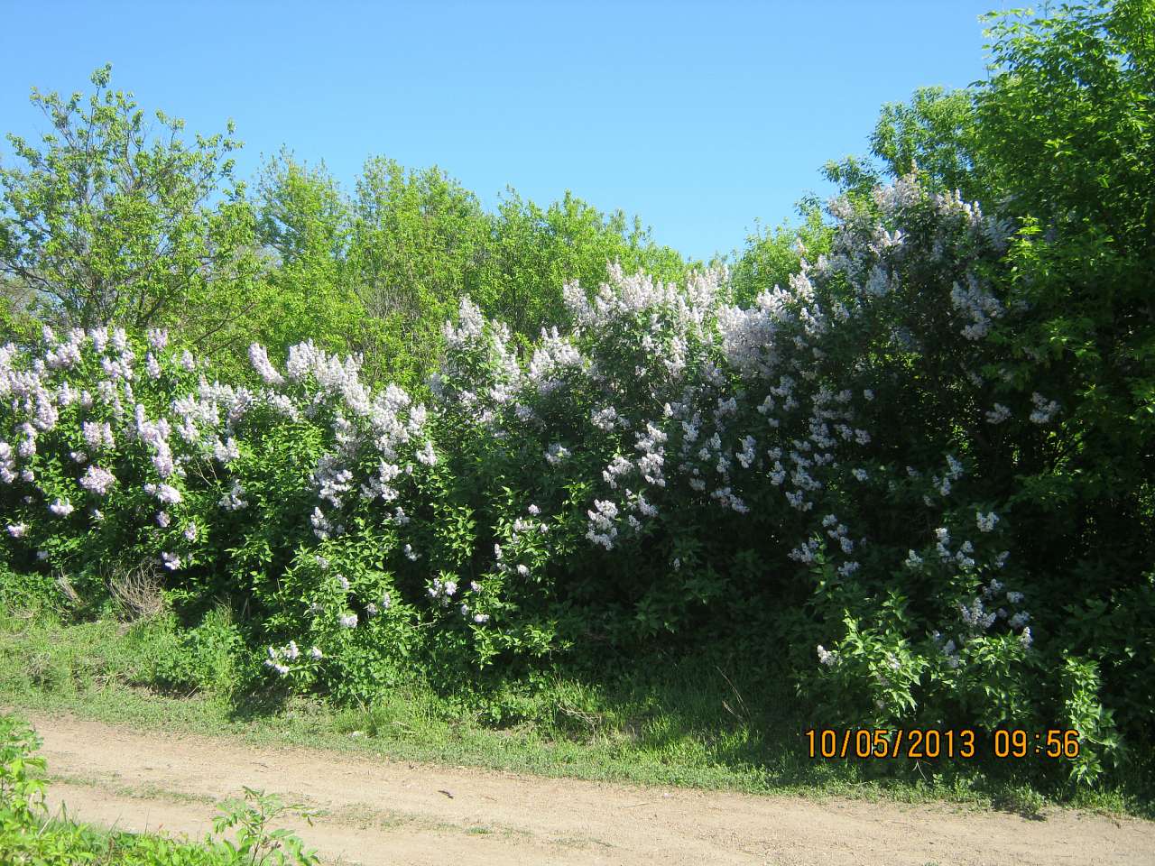 Поіздка вТовмач і х.Братський - Товмач