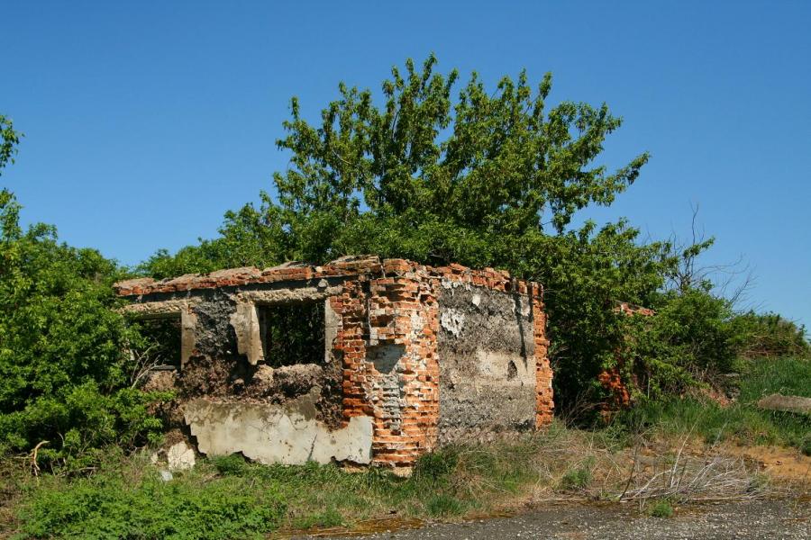 ПОКИНУТІ БУДІВЛІ ТА ПРИРОДА - Грищинцы