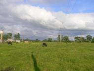 Підберізці