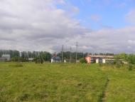 Підберізці