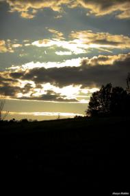 Село в деталях)