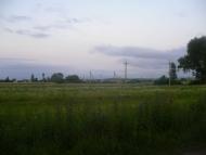 Підберізці