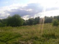 Підберізці