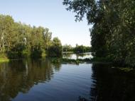 Ворскла у Кротенках