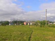 Підберізці