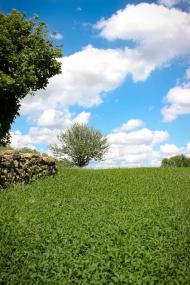 Село в деталях)