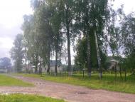 Підберізці