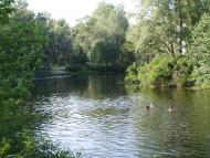 Ворскла у Кротенках