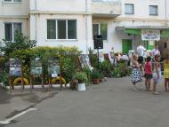 Чернигов ул. Стахановцев д. 20