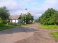 Підберізці