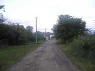 Підберізці