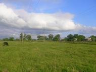 Підберізці