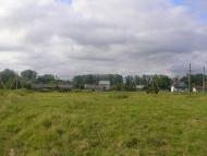 Підберізці