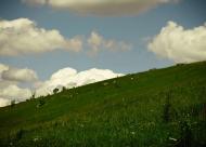 Село в деталях)