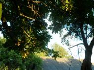 Велика Осниця