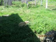 Ховківка - Останні фото