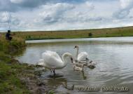 Природа нашого краю