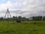 Підберізці