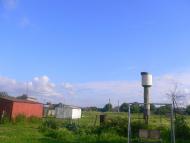 Підберізці