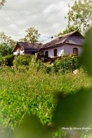 Село в деталях)