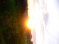 Підберізці