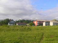 Підберізці