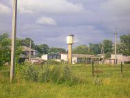 Підберізці